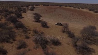 Savannah büyük bir takas Jeep dolaşmış.