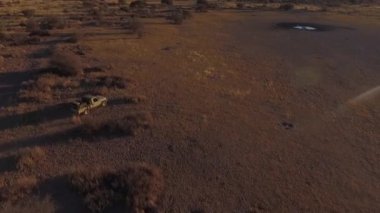 Savannah yoluyla Suv sürücüler için su birikintisi.