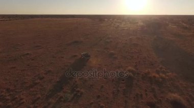 Jeep bir çöl savannah biniyor.
