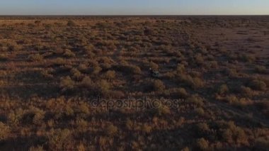 Suv akşam savana de yol sürüş.