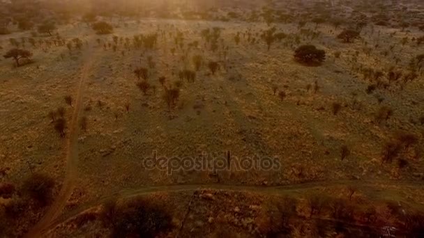Les rayons du coucher du soleil illuminent la savane de Namibie .