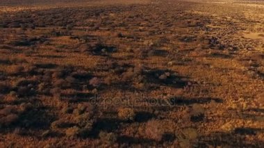 Savannah gelecek turistlerin Üstten Görünüm.