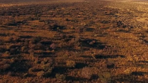 Een uitzicht vanaf de top van de toeristen gaan door de savanne. — Stockvideo