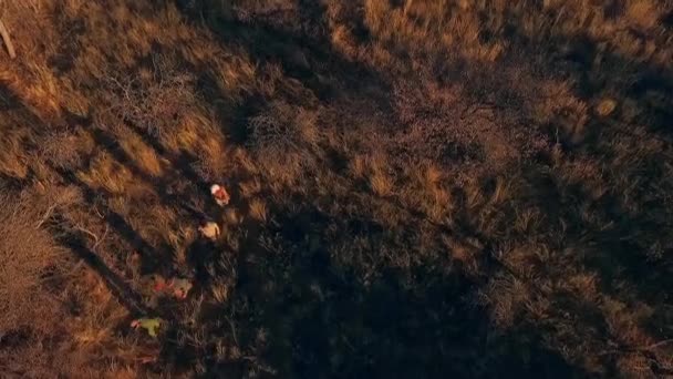 A view from above of people walking through the savanna of Africa. — Stock Video