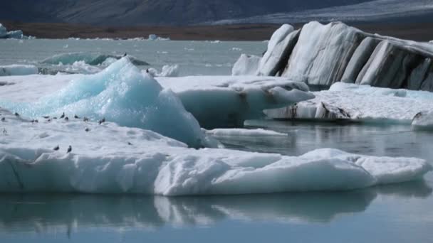 Een stuk ijs drijft langzaam langs de rivier in de Oceaan. — Stockvideo