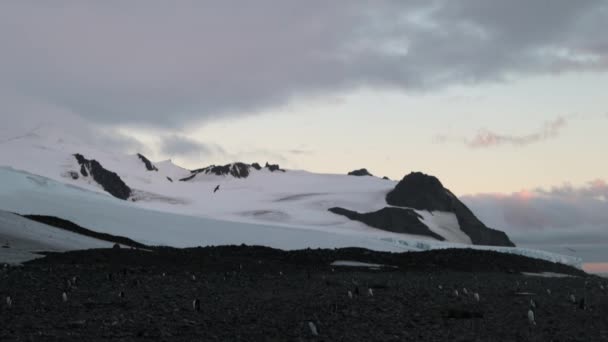 Die Berge sind mit einer dicken Schneeschicht bedeckt. andreev. — Stockvideo