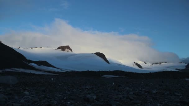 Pinguine laufen auf Steinen im Schatten. andreev. — Stockvideo