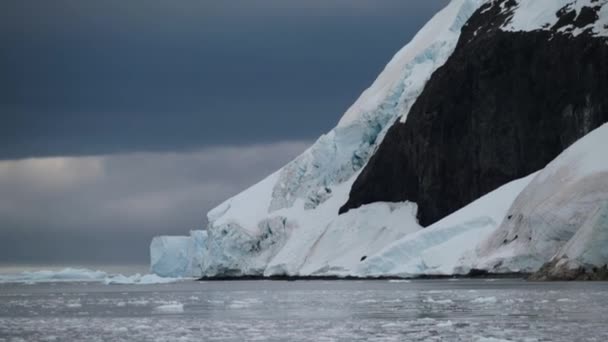 Costa rochosa da Antártida na neve. Andreev . — Vídeo de Stock