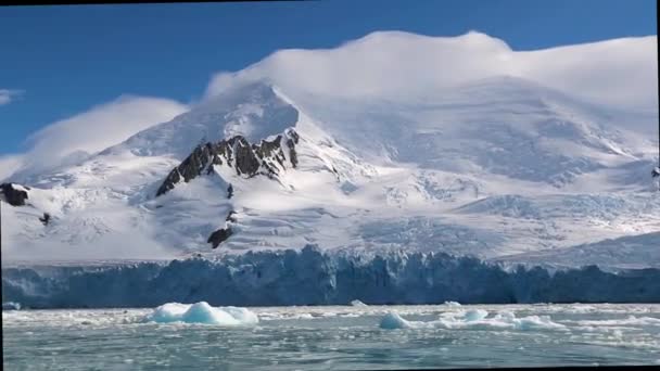 Pezzi di ghiaccio galleggiano sulla riva. Andreev . — Video Stock