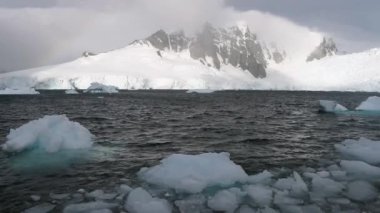 Adet buz float Antarktika sahiline. Andreev.