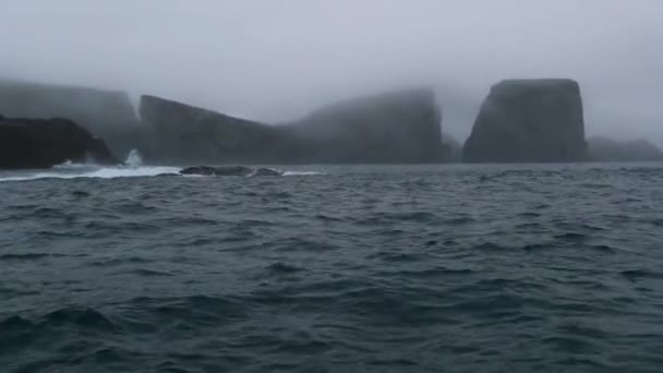 Vågorna tvätta den klippiga kusten vid Antarktis. Andreev. — Stockvideo