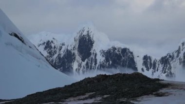 Penguenler taşlar bir tepe üzerinde durmak. Andreev.