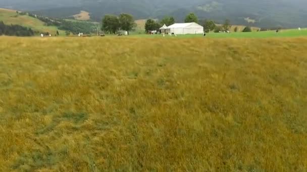 El dron despega sobre el campo cerca de la gente . — Vídeos de Stock