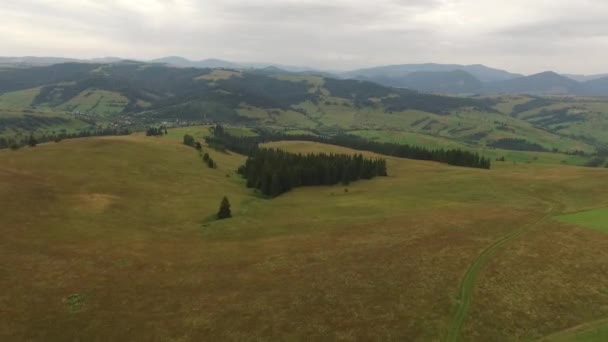 A beleza das Montanhas Cárpatas em tempo nublado . — Vídeo de Stock