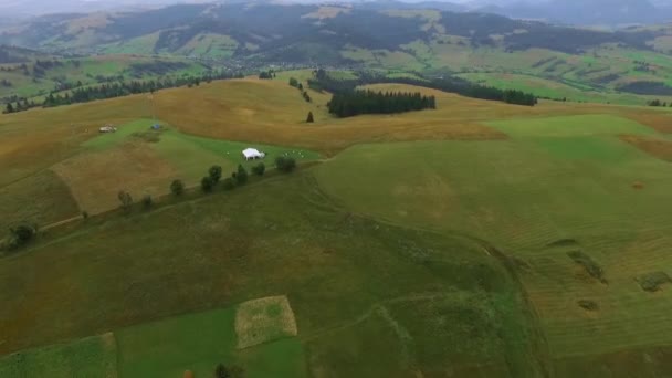 Krajobraz góry i domy na nizinach gór. — Wideo stockowe