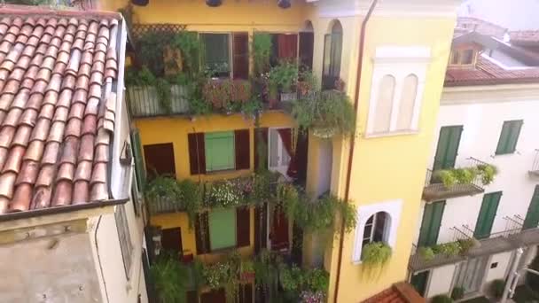 Plants grow on the windowsills and balconies of houses. — Stock Video