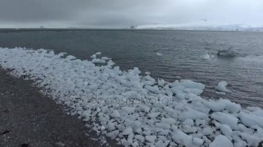 Penguenler buz ve kıyı kumsalda dilimleri üzerinde durmak. Andreev.