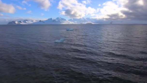 Pezzi di ghiaccio galleggiano al largo della costa. Andreev . — Video Stock