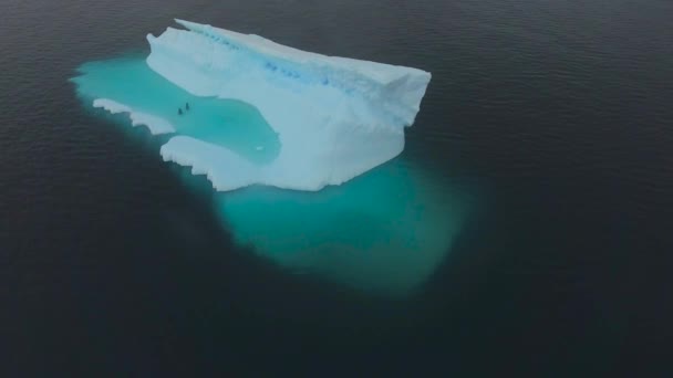 Top view of a large iceberg in the ocean. Andreev. — Stock Video