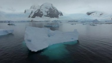 Buzullar kayalık bir kıyıya yakın yerde yüzen. Andreev.