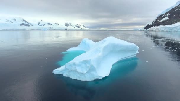 El glaciar azul flota en la bahía frente a la costa de la Antártida. Andreev. . — Vídeos de Stock