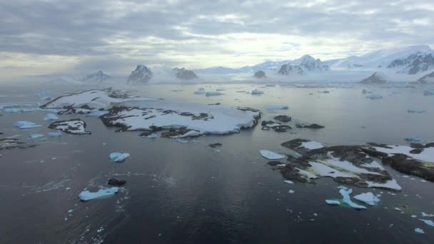 Una vista desde arriba en la costa de la Antártida por la tarde. Andreev. . — Vídeos de Stock