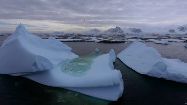 Stora glaciärer mot bakgrund av en stenstrand i snön. Andreev. — Stockvideo