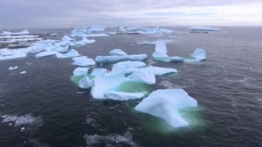 Birçok buzdağları su hava görünümünü. Andreev.
