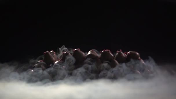 液态氮的烟雾穿过巧克力中的浆果. — 图库视频影像
