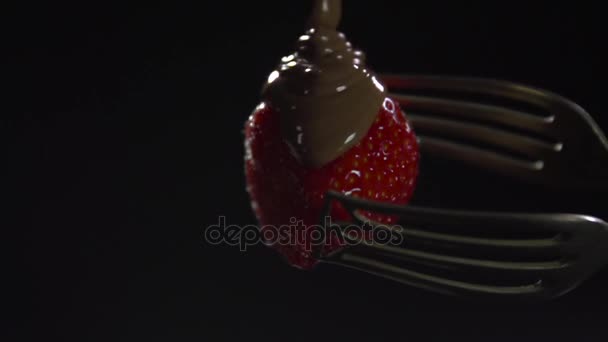 Flytande choklad hälls på jordgubbar. — Stockvideo