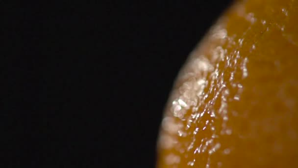 A close-up of a compressible peel of orange. — Stock Video