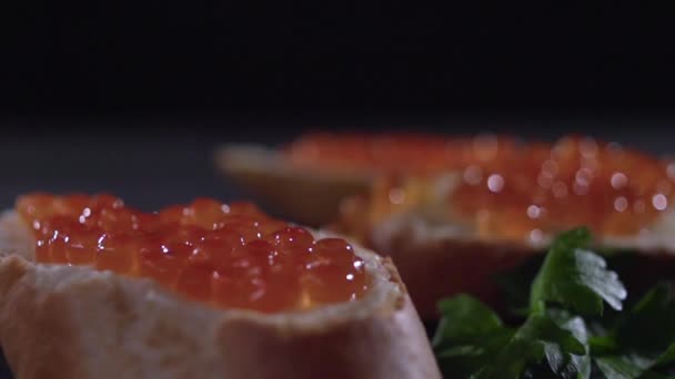 Le persil tombe sur un caviar rouge sur un sandwich . — Video