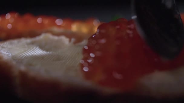 En svart sked distribuerar den röd kaviaren i olja på en bit bröd. — Stockvideo