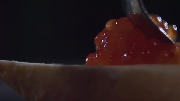 Γκρο πλαν ενός κουταλιού λίπανση ένα κόκκινο χαβιάρι για ένα σάντουιτς. — Αρχείο Βίντεο