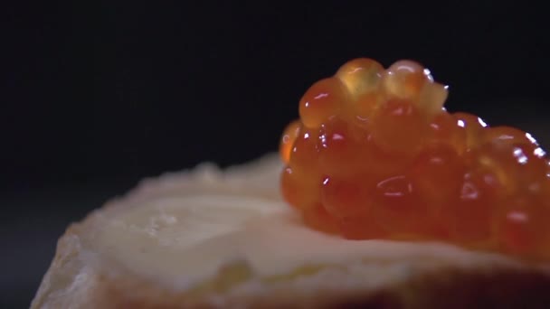 Red caviar lies on a piece of bread and butter. — Stock Video