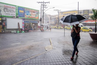 İklim: Yaz yağmuru Rio de Janeiro
