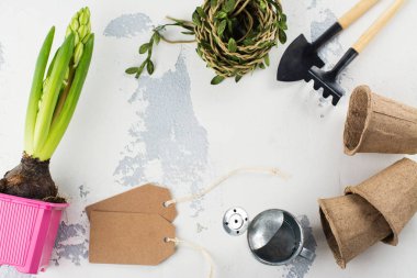 Bahar zaman kavramı.