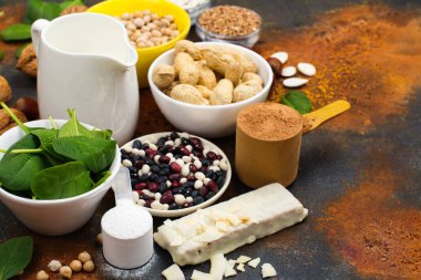 vegan protein ürünleri