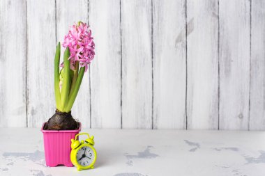  Sümbül ahşap tablo