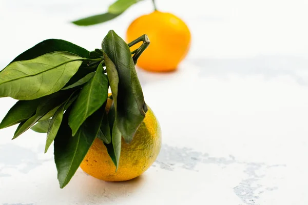 Mandariner med blad över vitt bord — Stockfoto