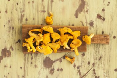 Ham chanterelles yığını