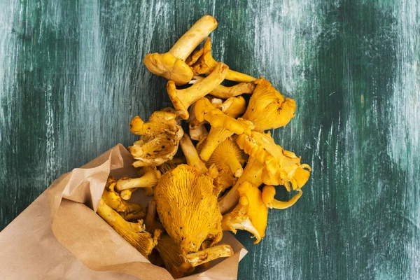 Ham chanterelles yığını