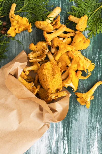 Ham chanterelles yığını