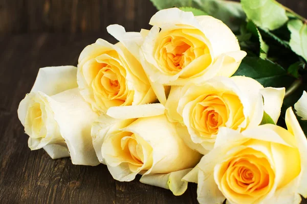 Όμορφα κίτρινα τριαντάφυλλα — Φωτογραφία Αρχείου