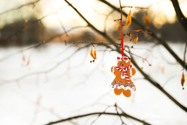Tarjeta de felicitación de Navidad con galleta de jengibre hombre juguete colgado en una rama de árbol — Foto de Stock