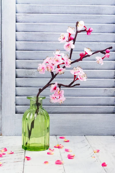 Cherry blossom. Pink flowers of sakura. Spring or moms day concept — Stock Photo, Image