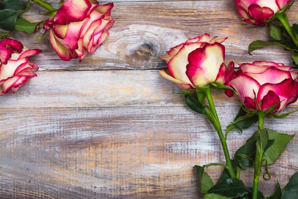 Beautiful roses on wooden background. Valentines day or mothers day greeting card — Stock Photo, Image