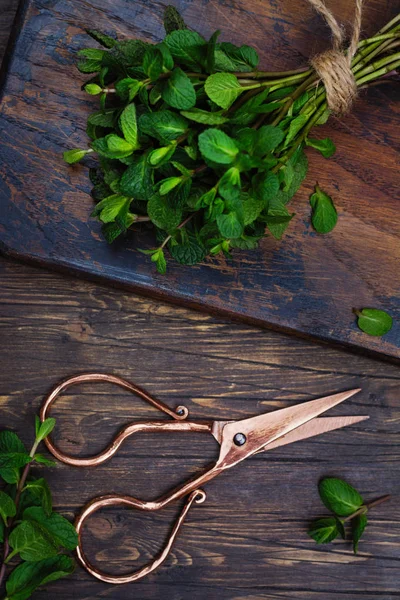 Manojo de tijeras de menta y vintage en la mesa de piedra —  Fotos de Stock