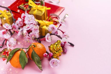 Çince yeni yıl arkaplanı