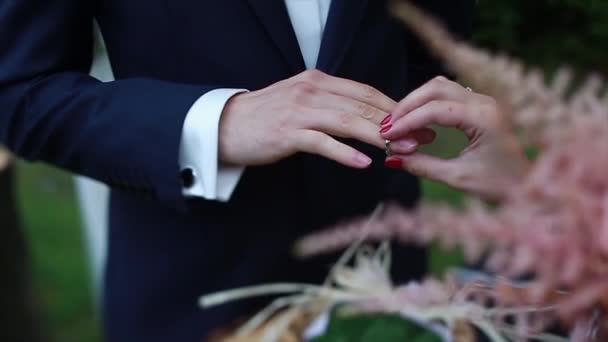 Bride puts ring on groom's finger — Stock Video